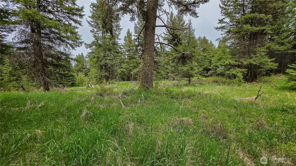 196 Davies Road Oroville WA 98844