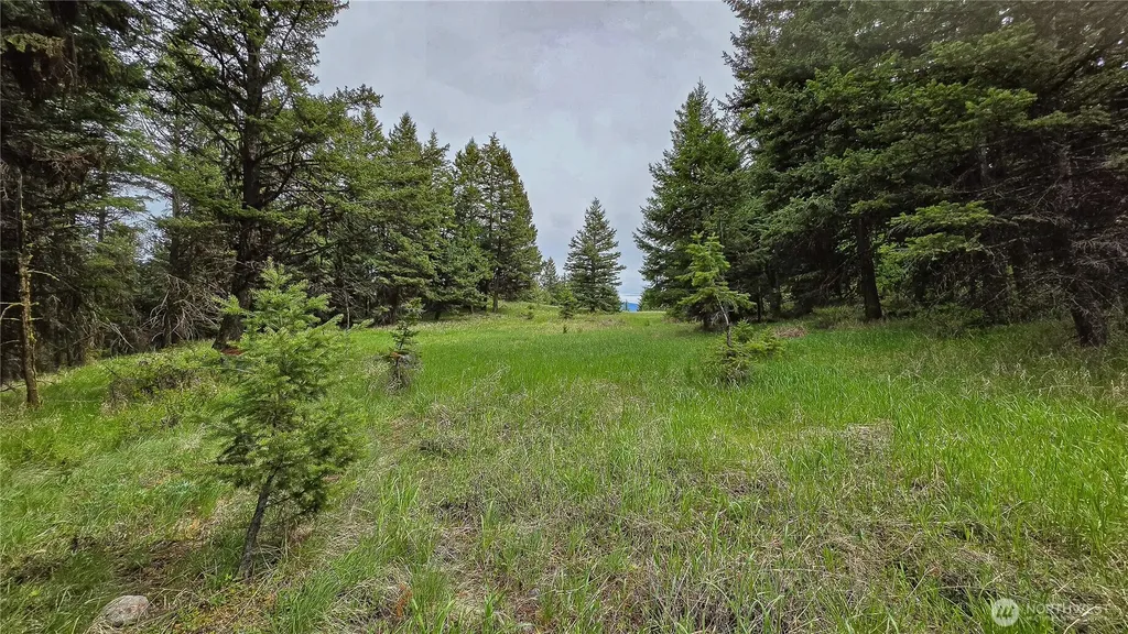 196 Davies Road Oroville WA 98844