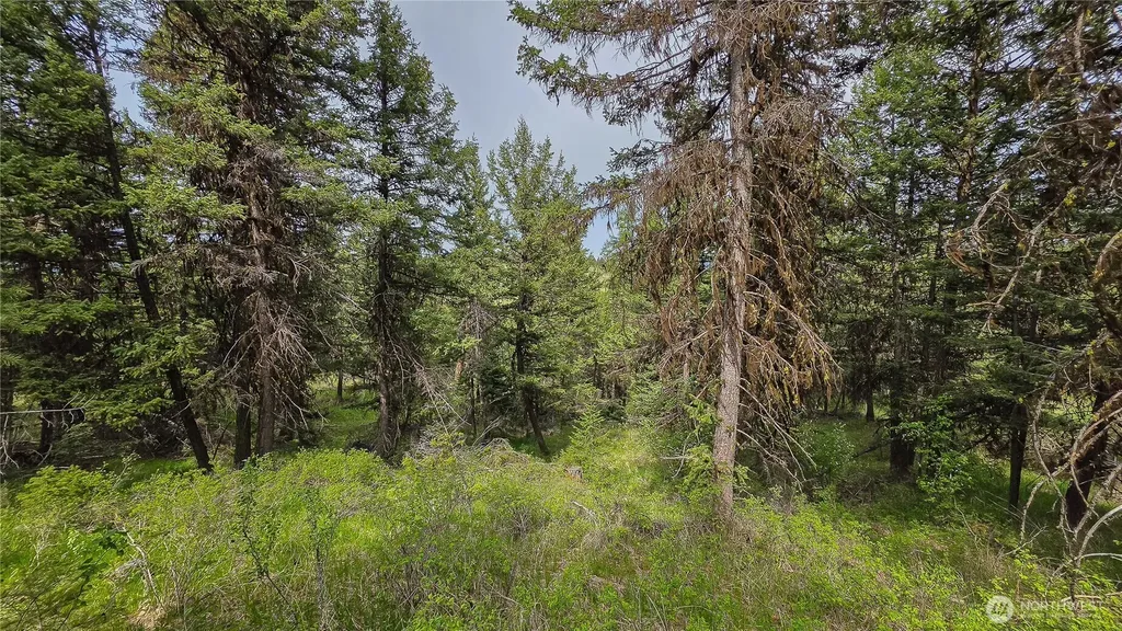 196 Davies Road Oroville WA 98844