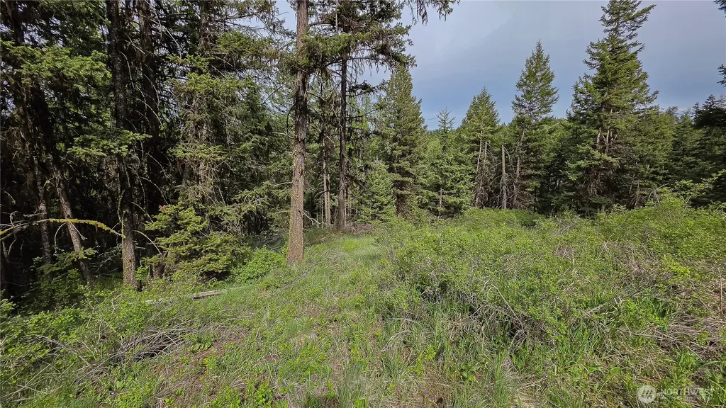 196 Davies Road Oroville WA 98844