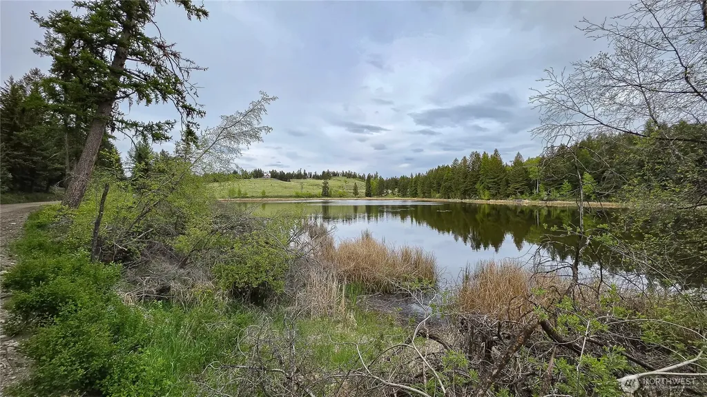 196 Davies Road Oroville WA 98844