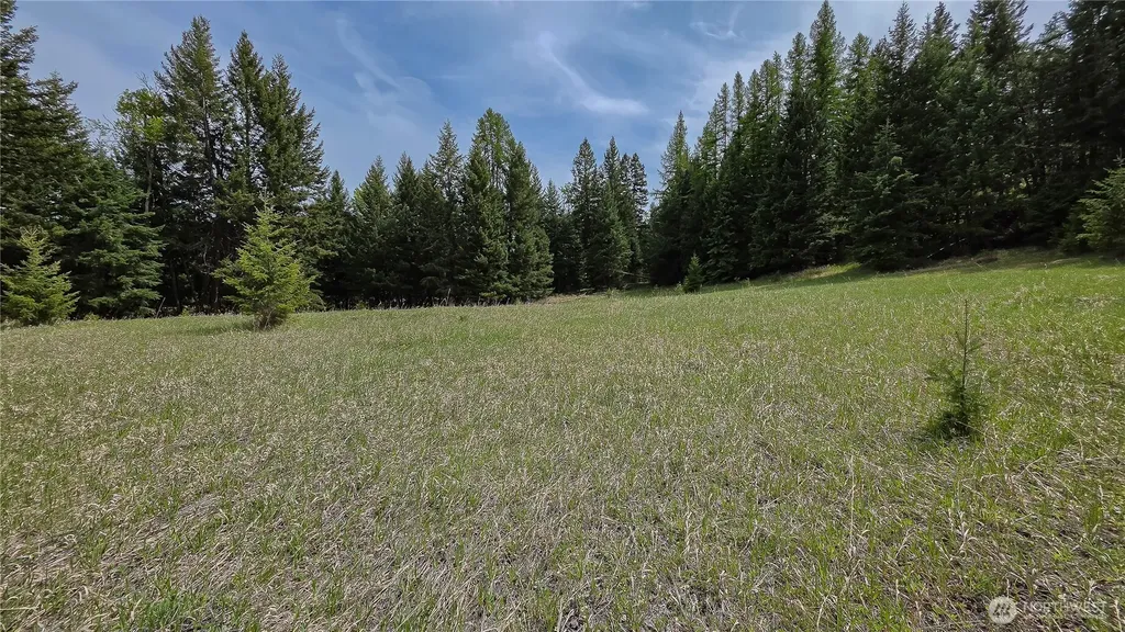 196 Davies Road Oroville WA 98844