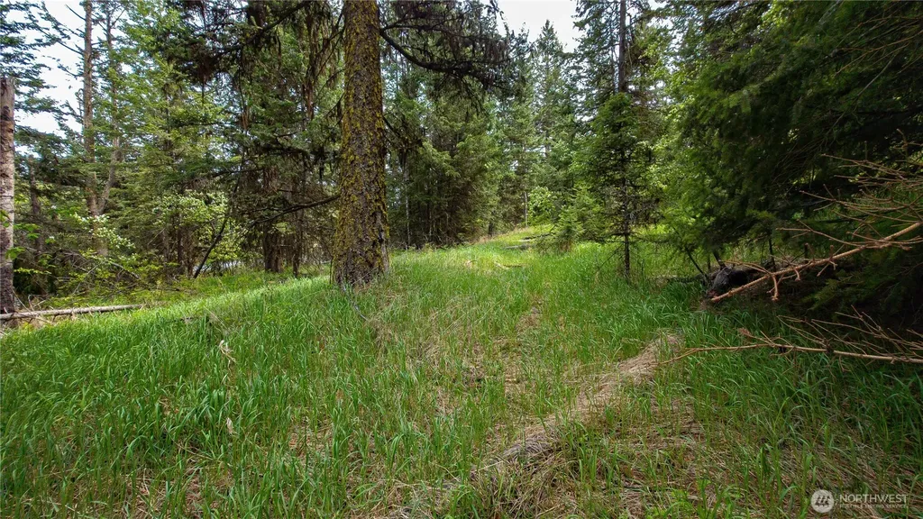 196 Davies Road Oroville WA 98844