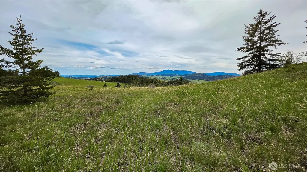 196 Davies Road Oroville WA 98844