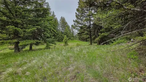 196 Davies Road Oroville WA 98844
