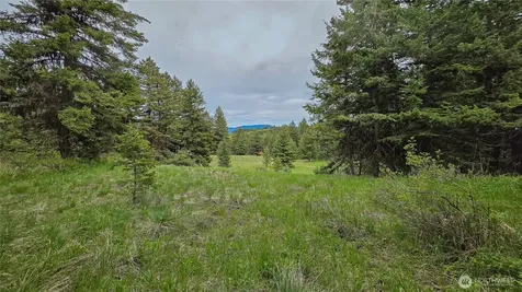 196 Davies Road Oroville WA 98844