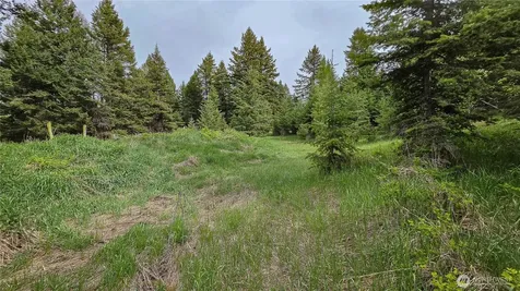 196 Davies Road Oroville WA 98844