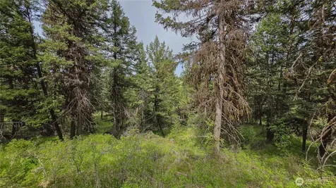 196 Davies Road Oroville WA 98844