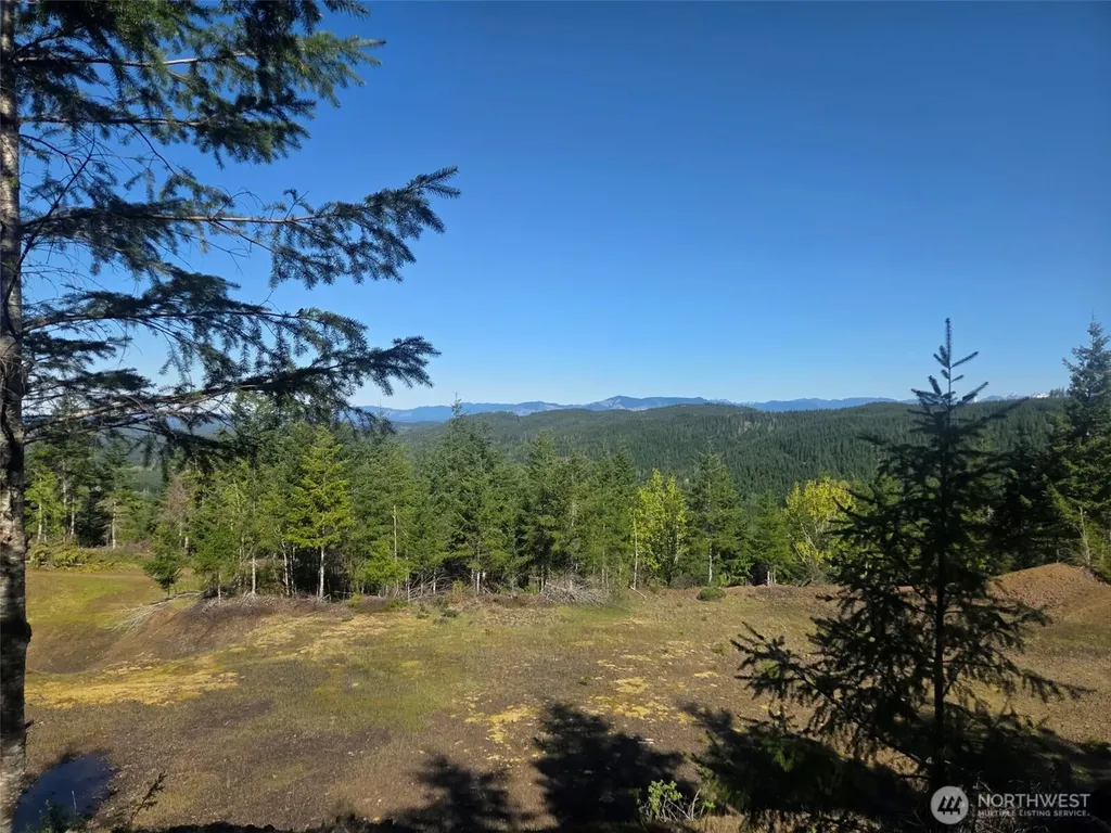 7241 W Cloquallum Road Shelton WA 98584