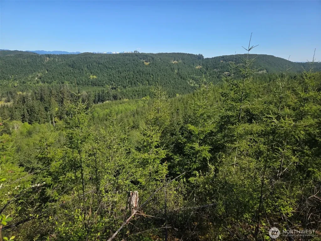 7241 W Cloquallum Road Shelton WA 98584