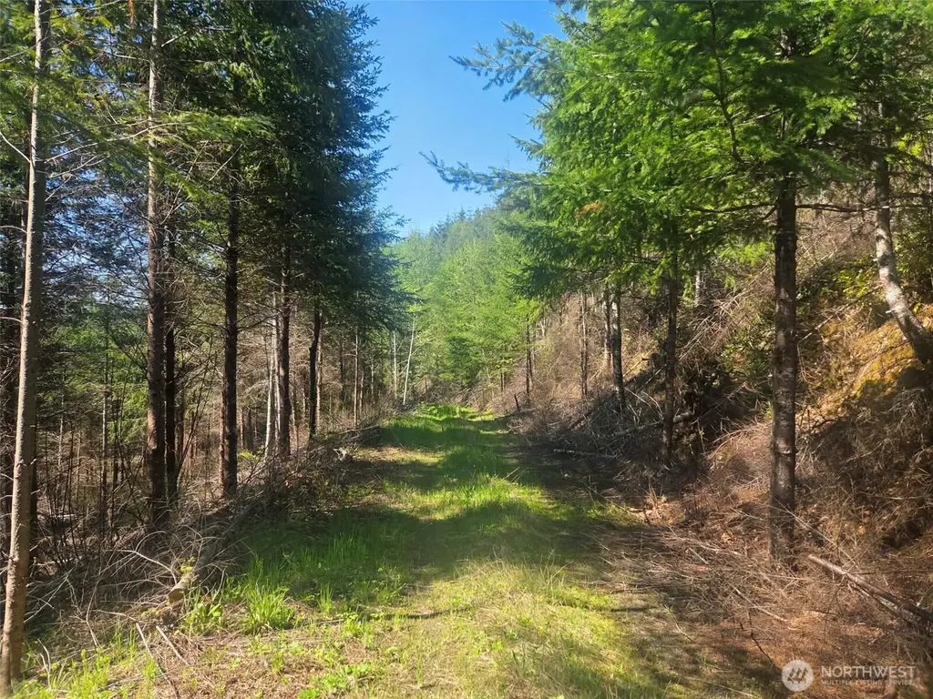 7241 W Cloquallum Road Shelton WA 98584