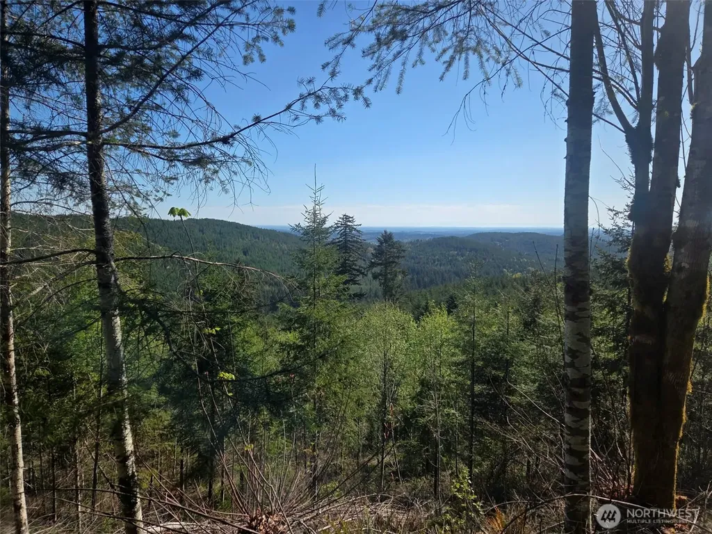 7241 W Cloquallum Road Shelton WA 98584