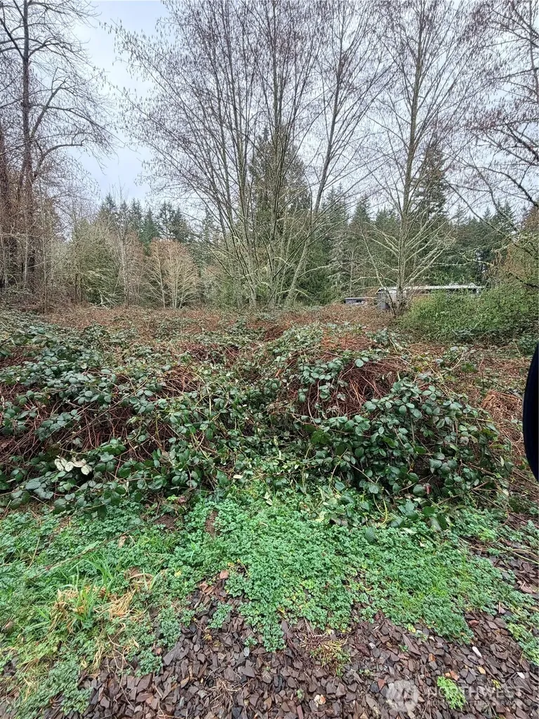 0 238th Avenue NE Redmond WA 98053