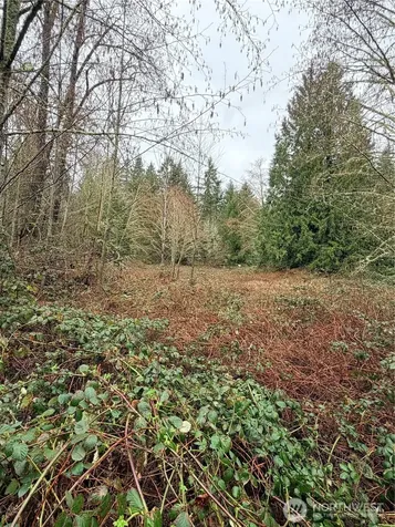 0 238th Avenue NE Redmond WA 98053