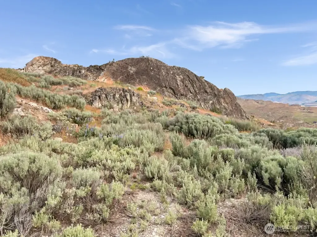 0 Andalusian Lot 4 Brewster WA 98812