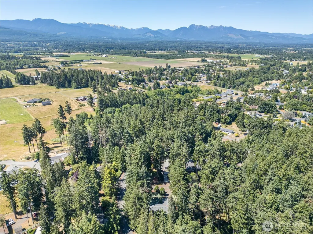 20 Josephine Place Sequim WA 98382