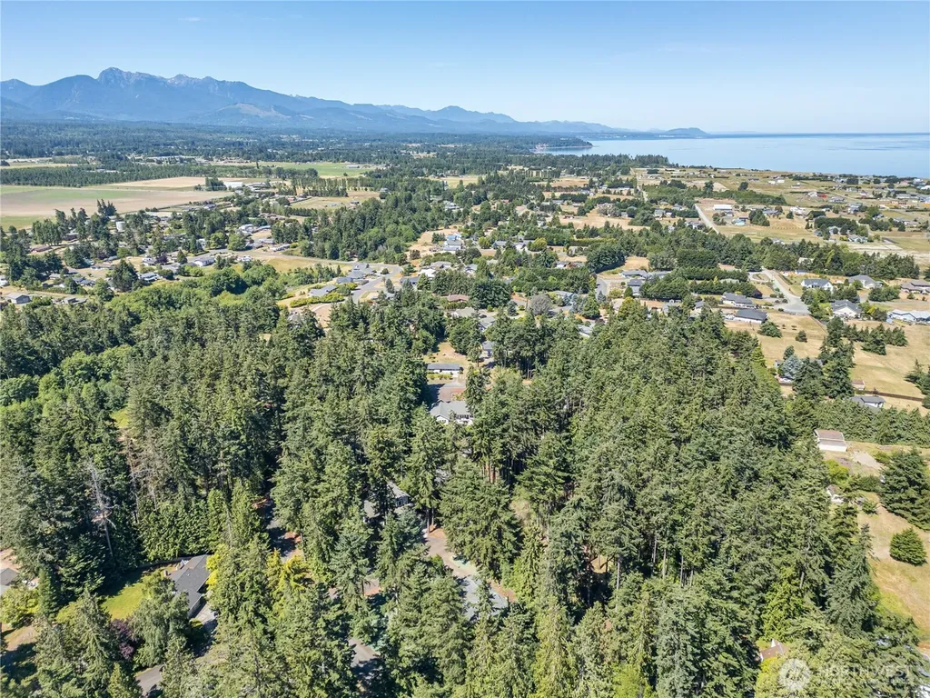20 Josephine Place Sequim WA 98382