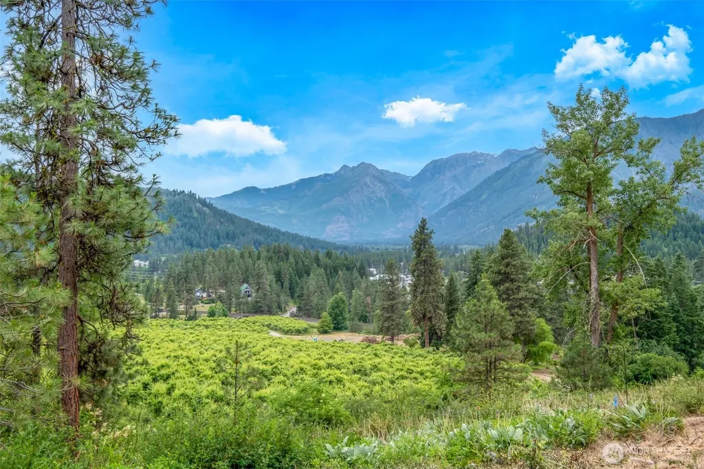 270 Arrowleaf Lane Leavenworth WA 98826