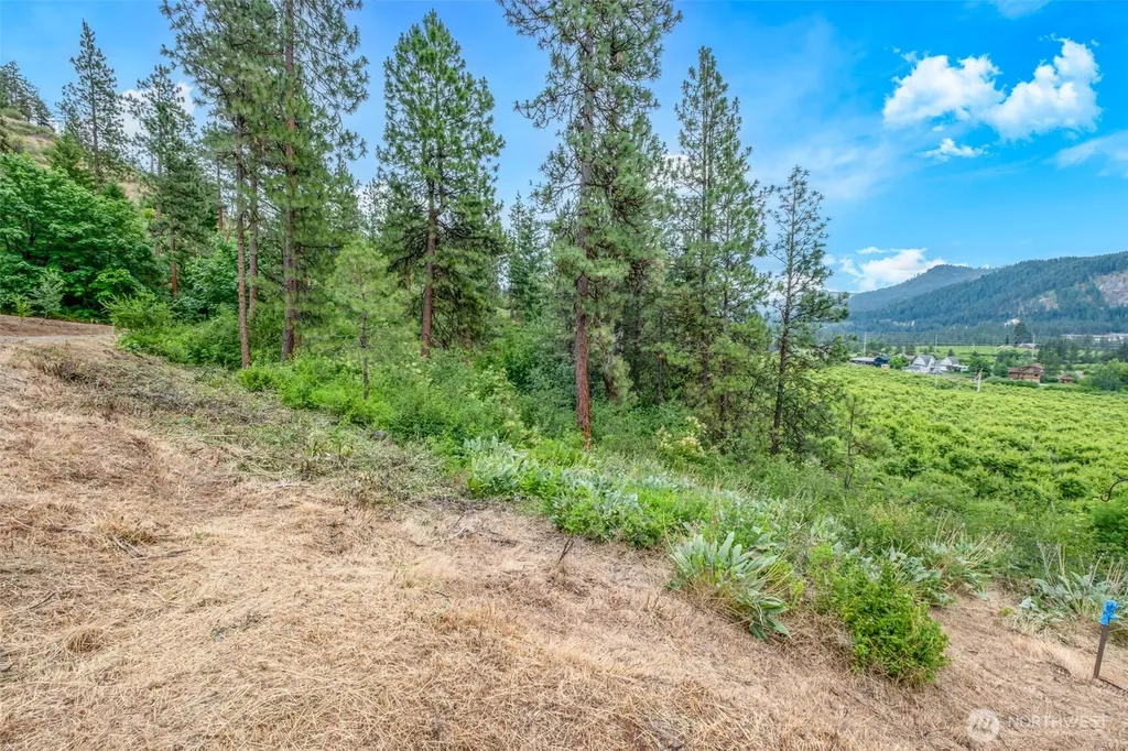270 Arrowleaf Lane Leavenworth WA 98826