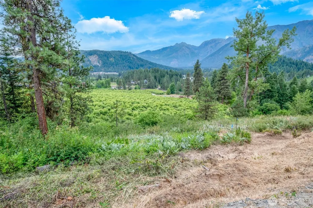 270 Arrowleaf Lane Leavenworth WA 98826