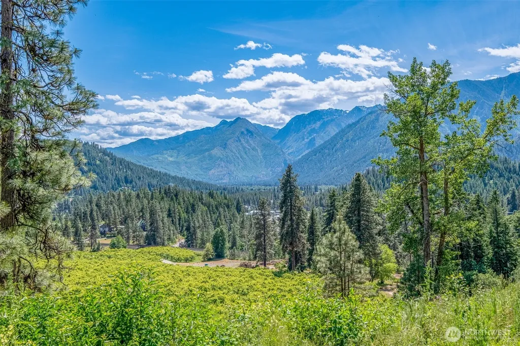 270 Arrowleaf Lane Leavenworth WA 98826