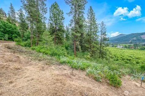 270 Arrowleaf Lane Leavenworth WA 98826