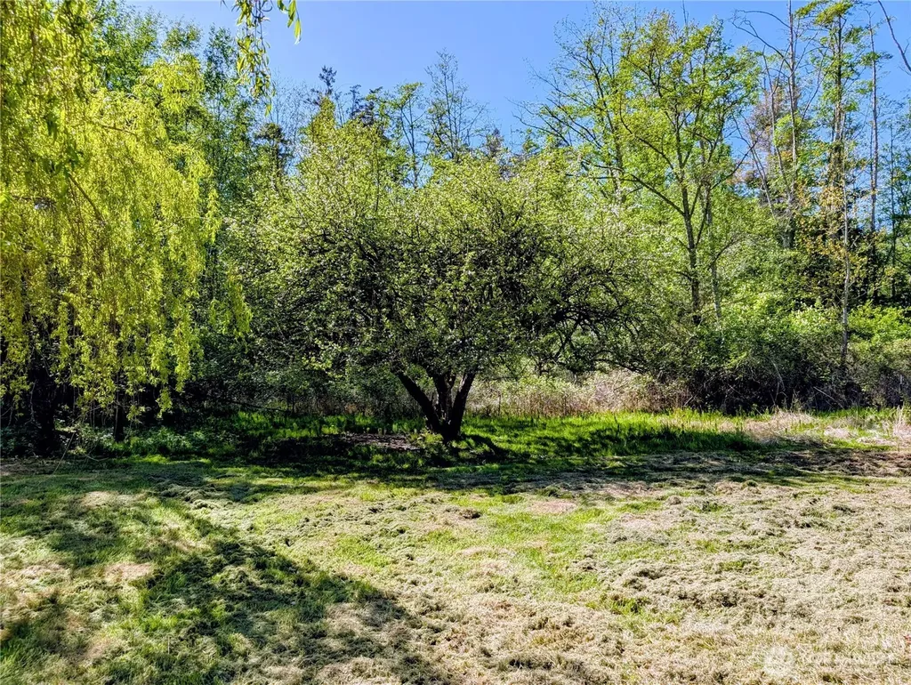 511 S Beach Road Point Roberts WA 98281
