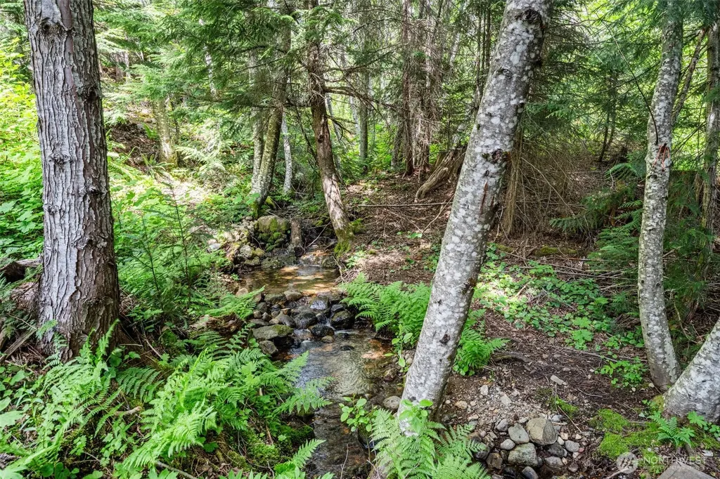 281 Wilderness Lane Easton WA 98925