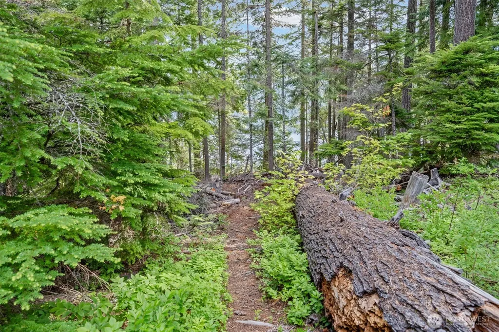 281 Wilderness Lane Easton WA 98925