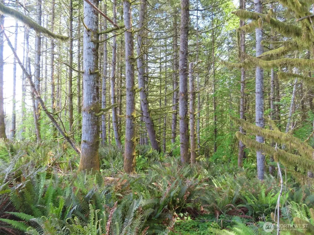 0 Hockett Road Onalaska WA 98570