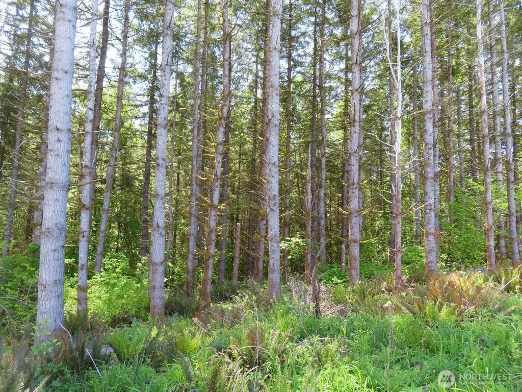 0 Hockett Road Onalaska WA 98570
