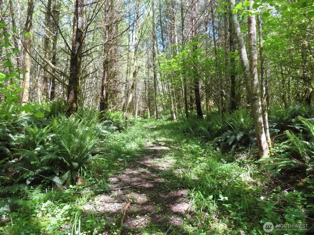 0 Hockett Road Onalaska WA 98570