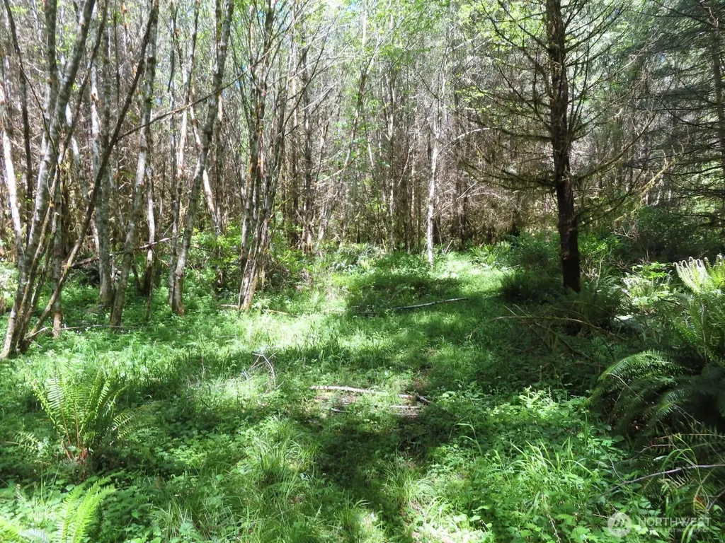 0 Hockett Road Onalaska WA 98570