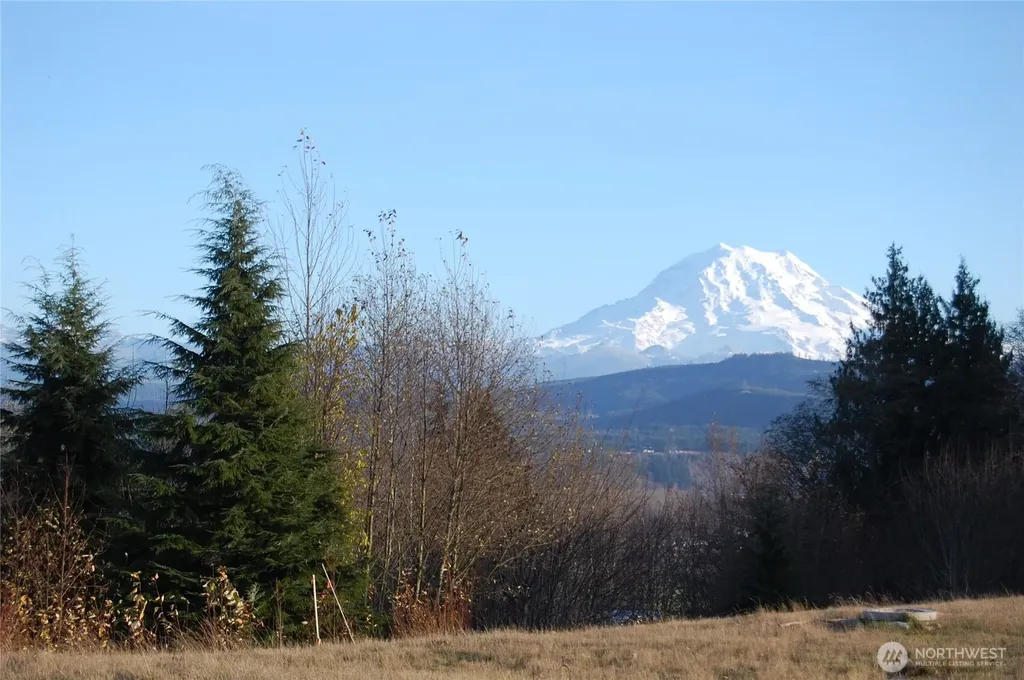 14015 172nd Street Ct E Puyallup WA 98374