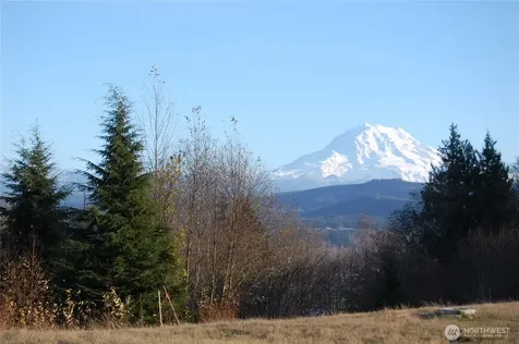 14015 172nd Street Ct E Puyallup WA 98374