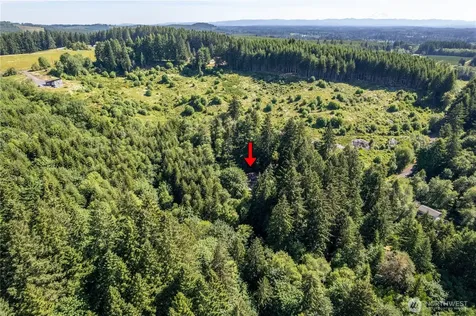 198 Burnett Winlock WA 98596