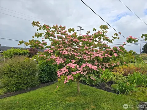 1102 W Anderson Street Elma WA 98541