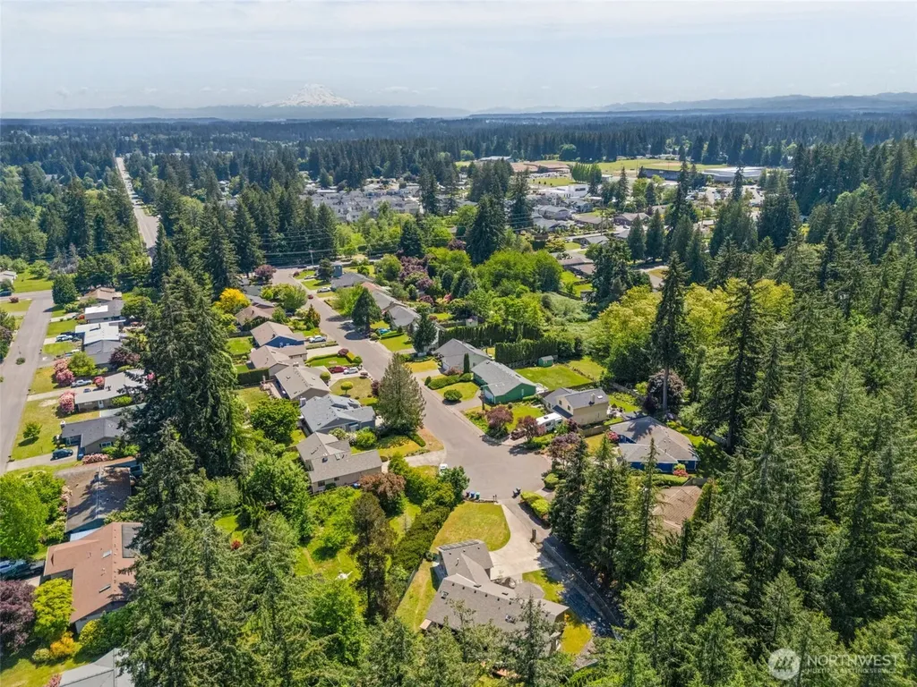 3914 14th Court NE Olympia WA 98506