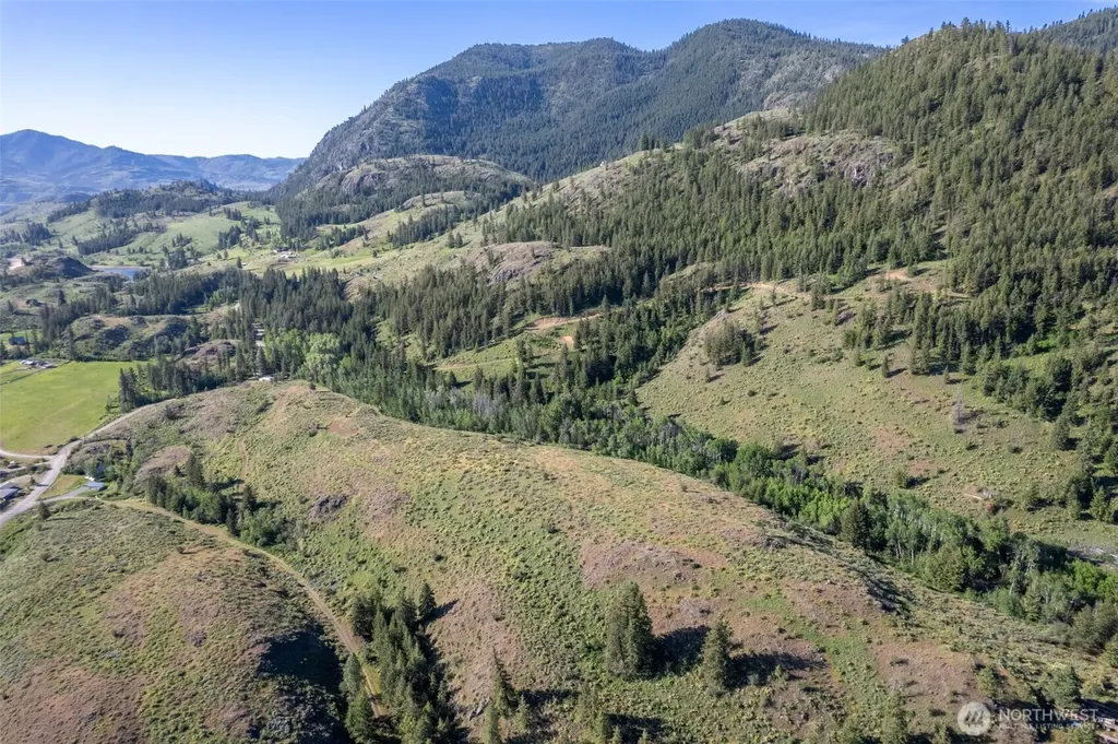 0 Alder Road Twisp WA 98856