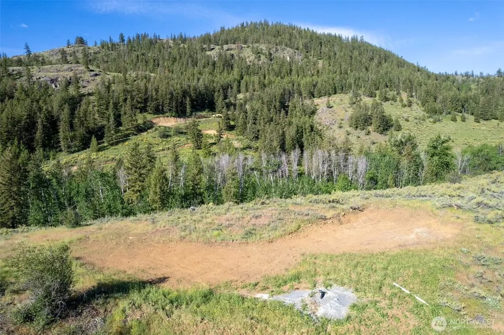 0 Alder Road Twisp WA 98856