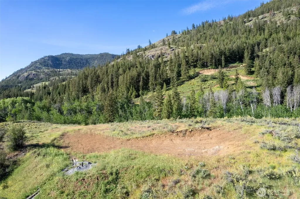 0 Alder Road Twisp WA 98856