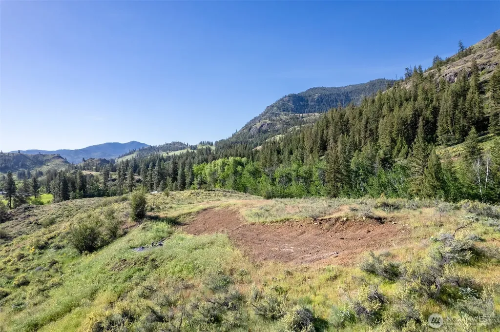 0 Alder Road Twisp WA 98856