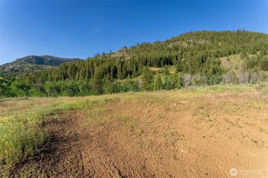 0 Alder Road Twisp WA 98856