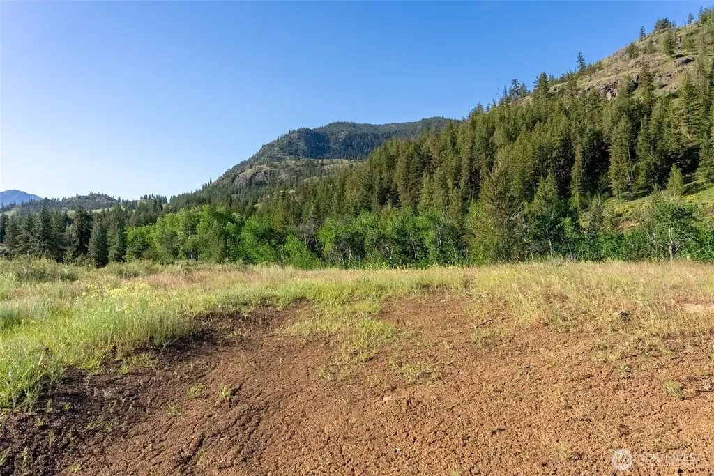 0 Alder Road Twisp WA 98856