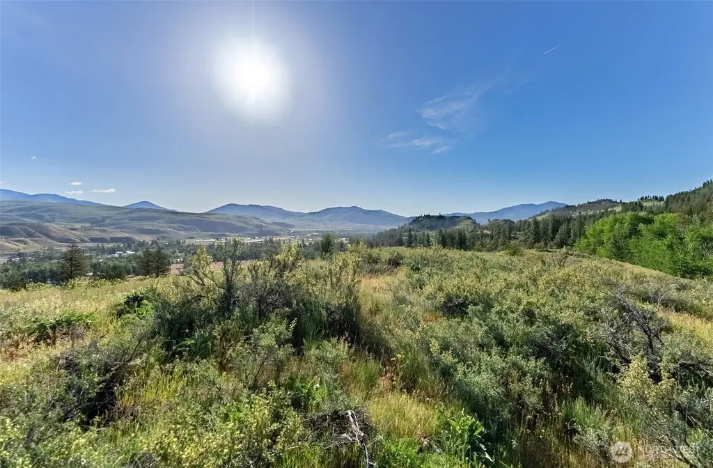 0 Alder Road Twisp WA 98856
