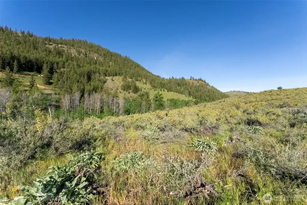 0 Alder Road Twisp WA 98856