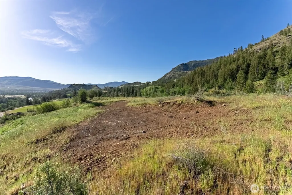 0 Alder Road Twisp WA 98856