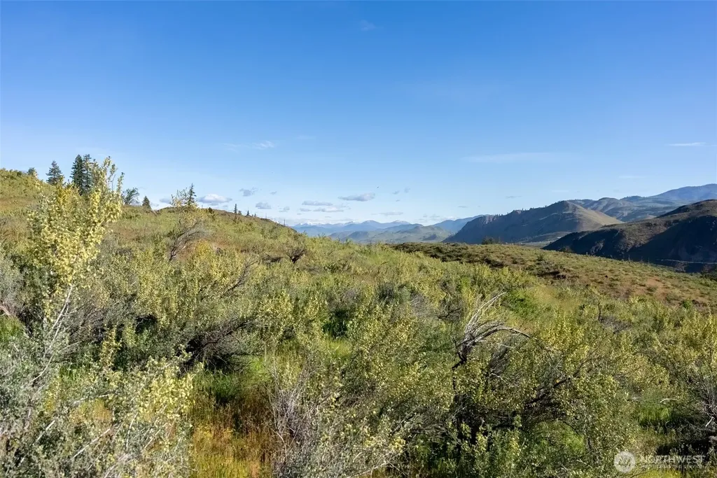 0 Alder Road Twisp WA 98856