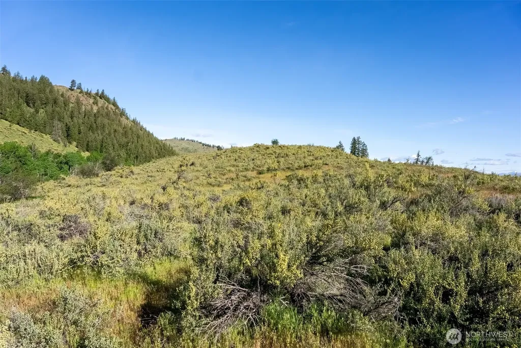 0 Alder Road Twisp WA 98856