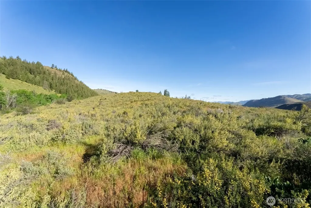 0 Alder Road Twisp WA 98856
